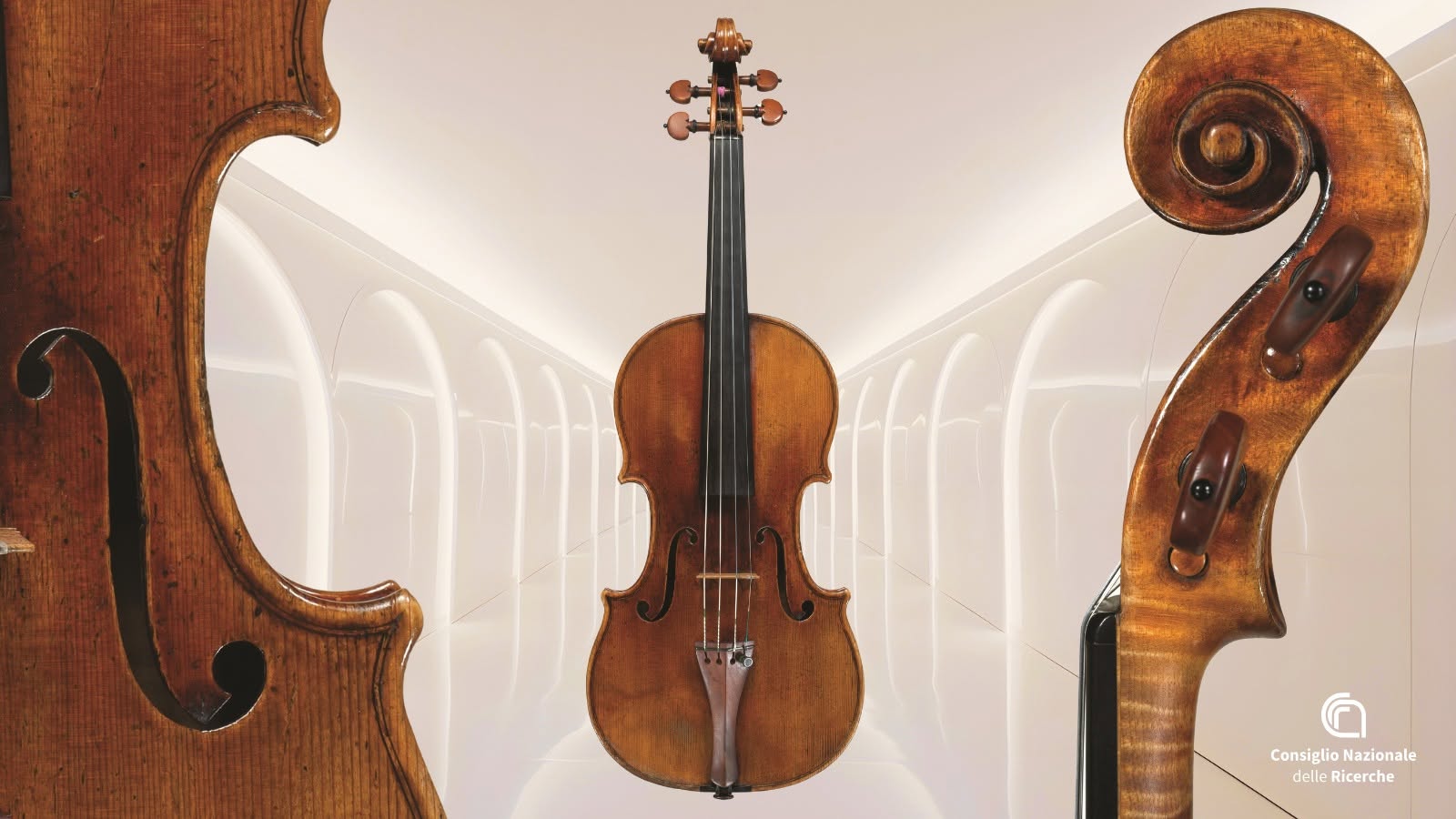 Stradivari: violini straordinari grazie agli abeti delle Alpi